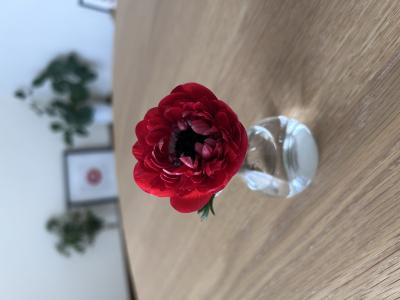 竹内 (45) 仙台 萬天堂 / 出張性感マッサージ