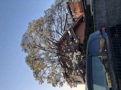 Ray (39) 横浜 萬天堂 / 出張性感マッサージ