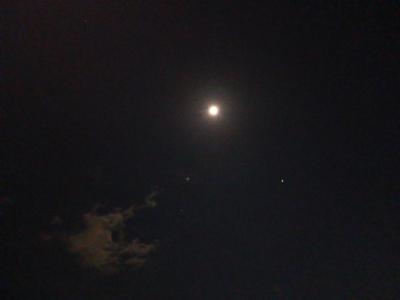 髙岸 (45) 千葉 萬天堂 / 出張性感マッサージ