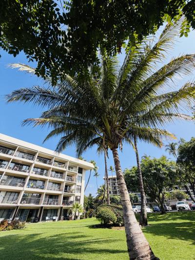 和正 (50) 名古屋 萬天堂 / 出張性感マッサージ