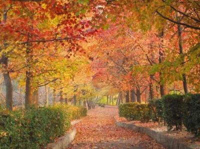 自分だけの癒しテクෆ˚* 湊 (28) 香川県（出張性感マッサージ