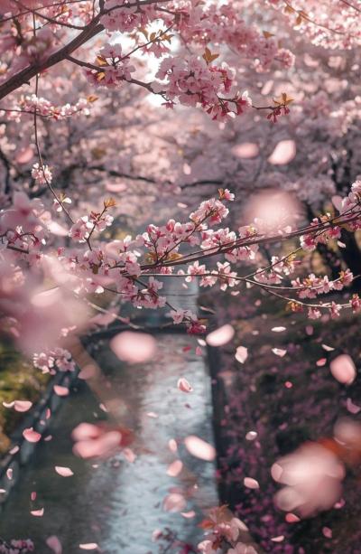 清盛 (34) 帯広 萬天堂 / 出張性感マッサージ