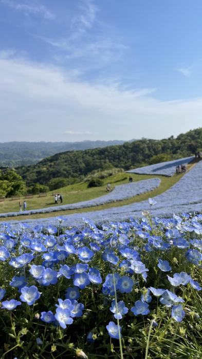 Rian (34) 宇都宮 萬天堂 / 出張性感マッサージ