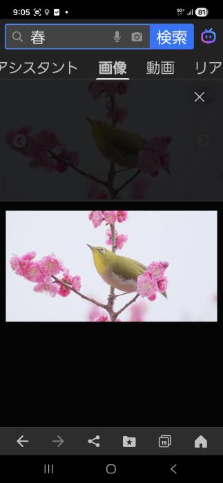 蒼司 (53) 福岡 萬天堂 / 出張性感マッサージ