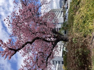 九十九 (41) 松山 萬天堂 / 出張性感マッサージ