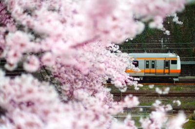 花束の列車と砂の城と、それだけの夜 龍生 (47) 埼玉県（出張性感マッサージ