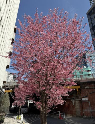 無題 獠 (54) 埼玉県（出張性感マッサージ