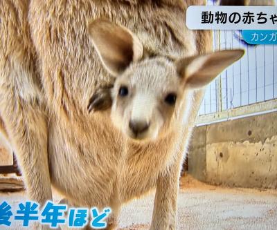 賢人 (32) 大宮 萬天堂 / 出張性感マッサージ