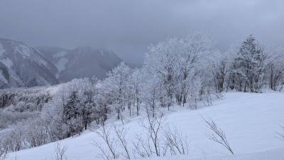 ハル (43) 仙台 萬天堂 / 出張性感マッサージ