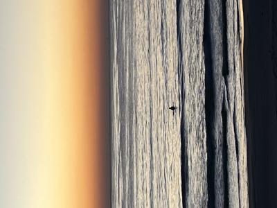 比呂 (46) 四日市 萬天堂 / 出張性感マッサージ