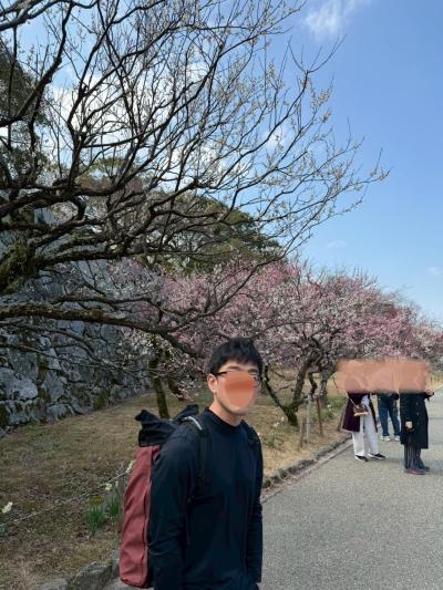 雅友 (42) 東京 萬天堂 / 出張性感マッサージ