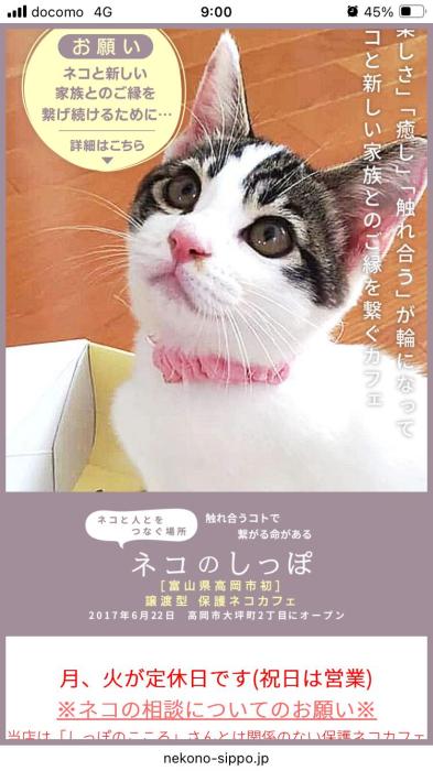 伊月 (44) 新潟 萬天堂 / 出張性感マッサージ