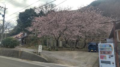 吉平 (56) 大阪 萬天堂 / 出張性感マッサージ