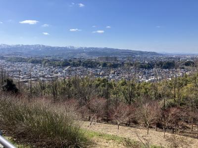 伊月 (44) 新潟 萬天堂 / 出張性感マッサージ