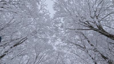 ❄背景❄ ハル (43) 宮城県（出張性感マッサージ