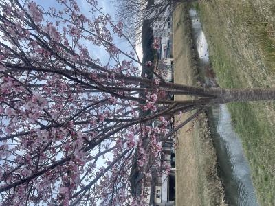 優希斗 (28) 広島 萬天堂 / 出張性感マッサージ