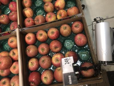 雅友 (42) 東京 萬天堂 / 出張性感マッサージ