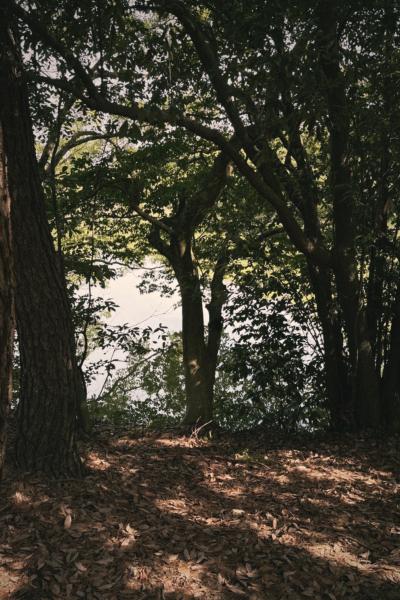 日光浴 みなと (30) 東京都（出張性感マッサージ