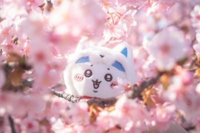 じゅん (37) 岡山 萬天堂 / 出張性感マッサージ