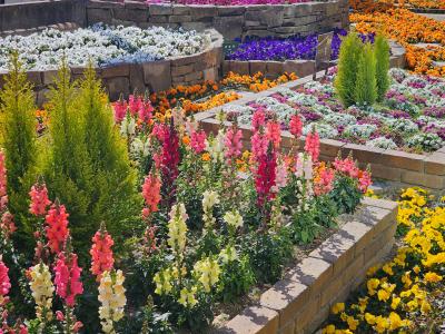 れんと (29) 大阪 萬天堂 / 出張性感マッサージ