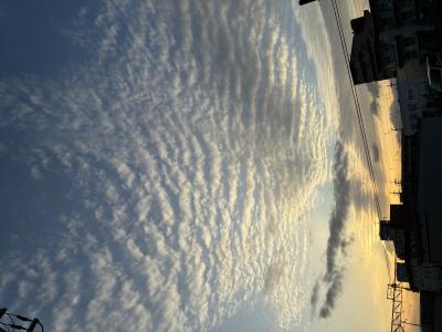 だいき (25) 京都 萬天堂 / 出張性感マッサージ