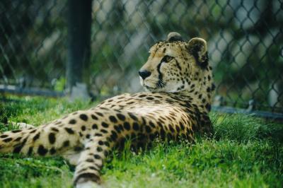 恵一 (36) 岡山 萬天堂 / 出張性感マッサージ