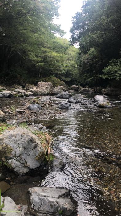 雅友 (42) 東京 萬天堂 / 出張性感マッサージ