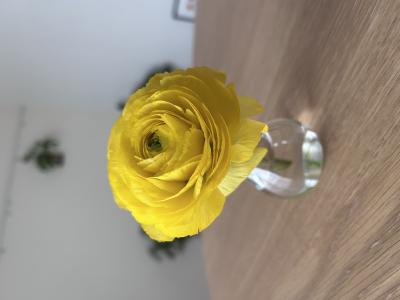 竹内 (45) 仙台 萬天堂 / 出張性感マッサージ