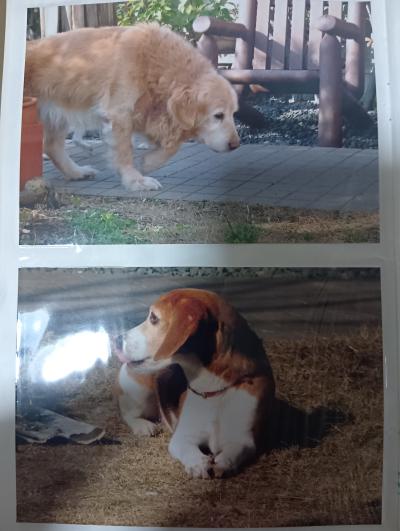 タロウ (41) 仙台 萬天堂 / 出張性感マッサージ