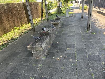 竜胆 (49) 東京 萬天堂 / 出張性感マッサージ