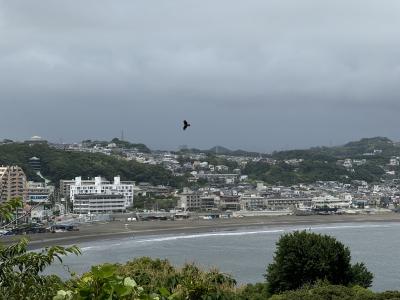 浅井 (48) 横浜 萬天堂 / 出張性感マッサージ
