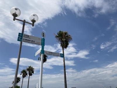 ８月の予定 友美 (54) 東京都（出張性感マッサージ