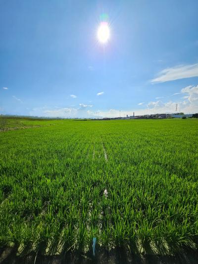 ユージ (53) 富山 萬天堂 / 出張性感マッサージ
