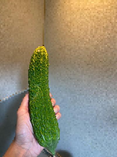 夏と言えば！！ 一 (35) 広島県（出張性感マッサージ