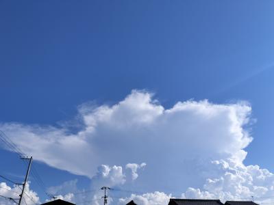 7月も終わりに⋯☺️ フクマル (43) 香川県（出張性感マッサージ