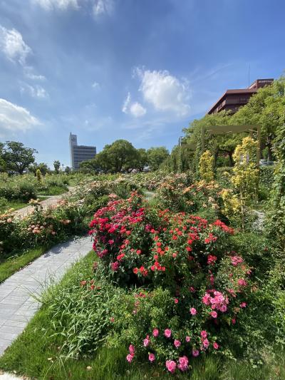 夏☀️ 伸介 (42) 愛知県（出張性感マッサージ