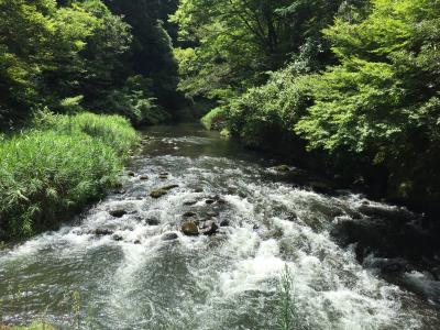 無題 一揮 (30) 大阪府（出張性感マッサージ
