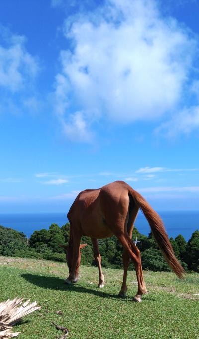 宮崎県に行きました🐴 シュウマ (57) 福岡県（出張性感マッサージ