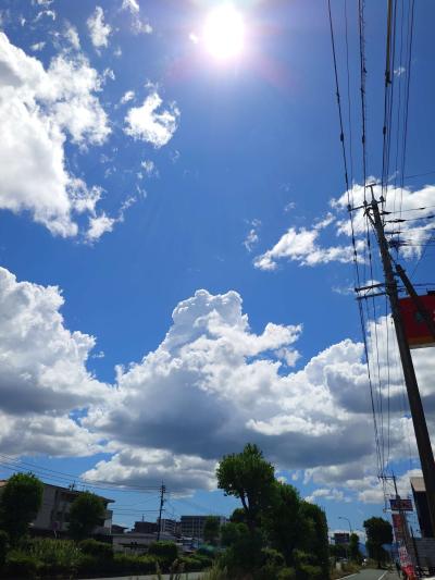 晴れ間が出てきました 勇兎 (37) 福岡県（出張性感マッサージ