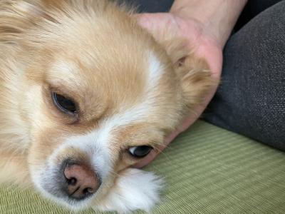ゆっくり😊 とも (32) 京都府（出張性感マッサージ