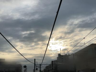 夏の朝日に思うこと シルク (41) 東京都（出張性感マッサージ