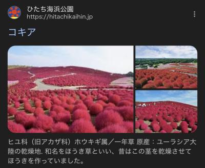 毎日更新 賢人 (32) 埼玉県（出張性感マッサージ