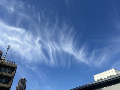 竜胆 (49) 東京 萬天堂 / 出張性感マッサージ
