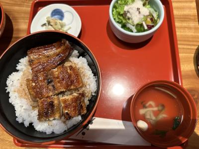 ミナト (29) 長崎 萬天堂 / 出張性感マッサージ