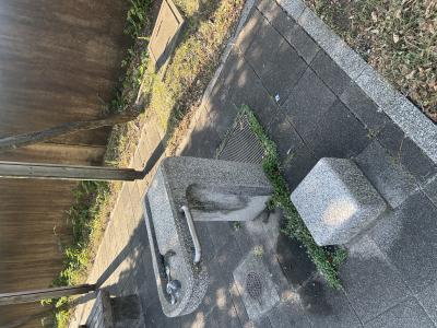 竜胆 (49) 東京 萬天堂 / 出張性感マッサージ