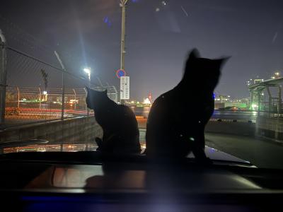 くろねこきょうだい 哲也 (51) 福岡県（出張性感マッサージ