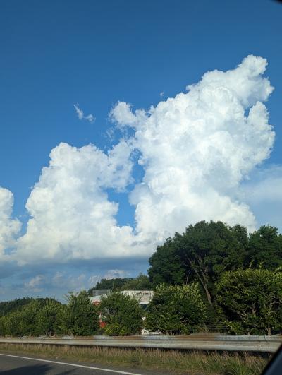 8月お世話になりました Vivi (33) 福岡県（出張性感マッサージ