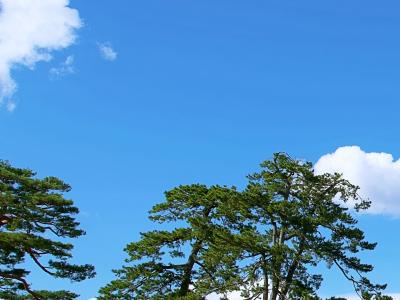 9月ですが 宗近 (46) 広島県（出張性感マッサージ