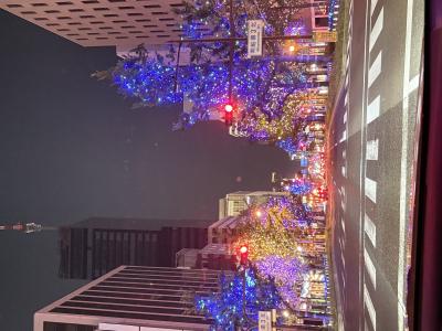 【デート気分🥹】 一ノ瀬 (30) 大阪府（出張性感マッサージ