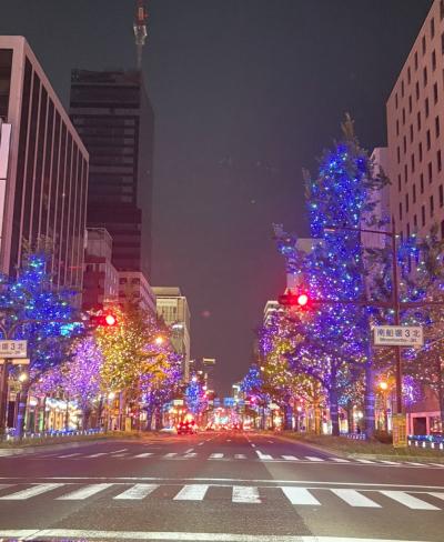 【データ気分🥹🥹】 一ノ瀬 (30) 大阪府（出張性感マッサージ